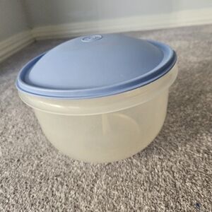 Lettuce Container Keeper